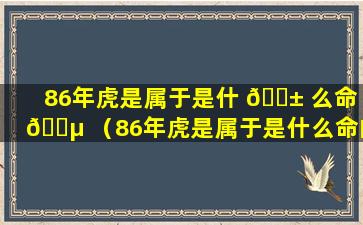 86年虎是属于是什 🐱 么命 🐵 （86年虎是属于是什么命的人）